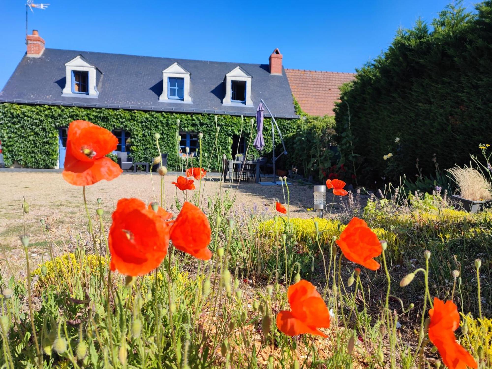 Longué Le Clos Champetre المظهر الخارجي الصورة