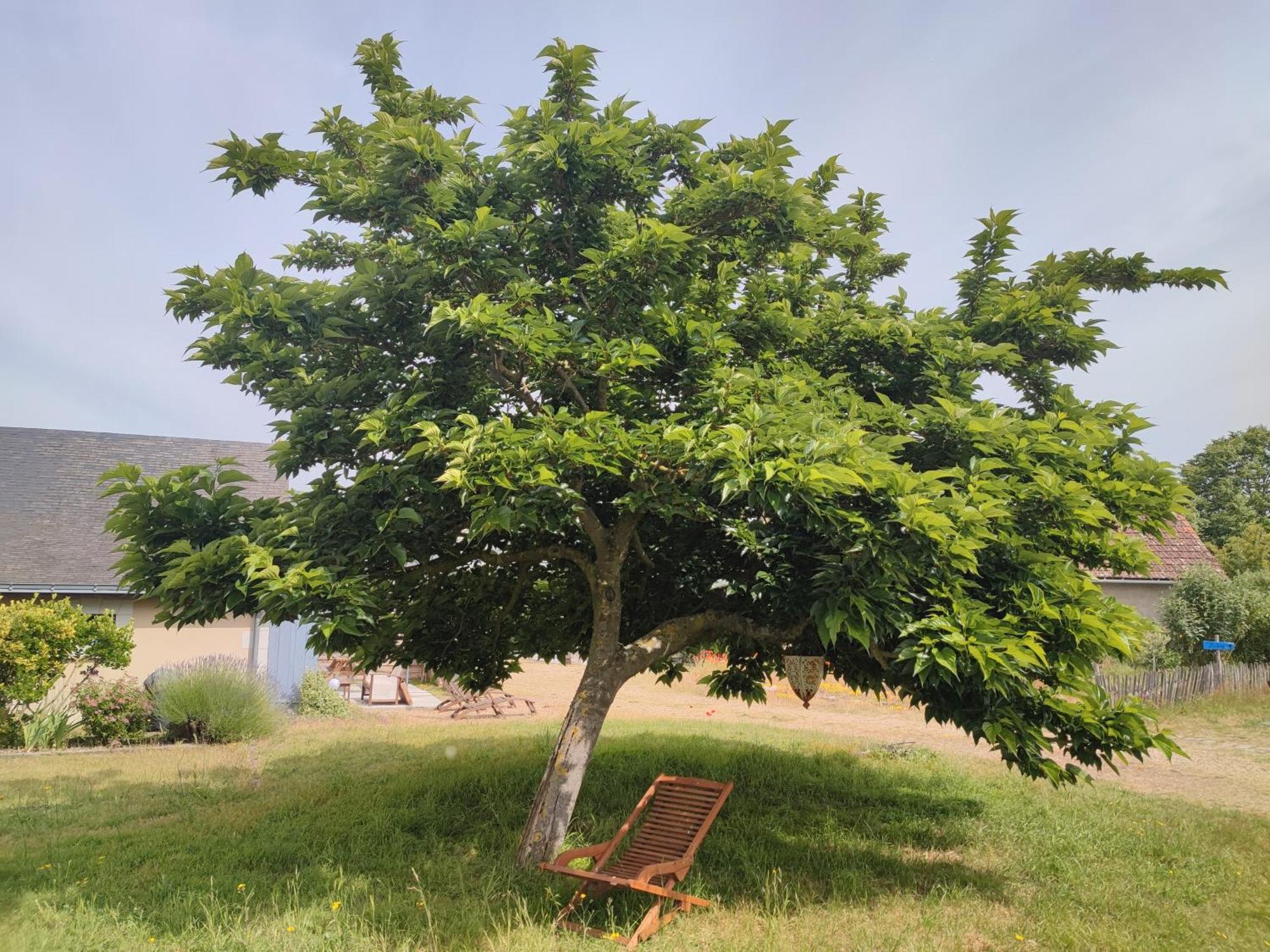 Longué Le Clos Champetre المظهر الخارجي الصورة